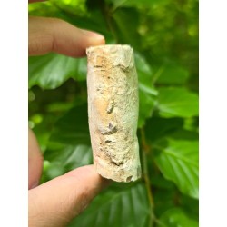 Bois Fossilisé - Brut 65 gr