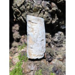 Bois Fossilisé - Brut 65 gr
