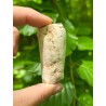 Bois Fossilisé - Brut 65 gr