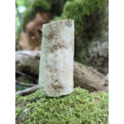 Bois Fossilisé - Brut 65 gr