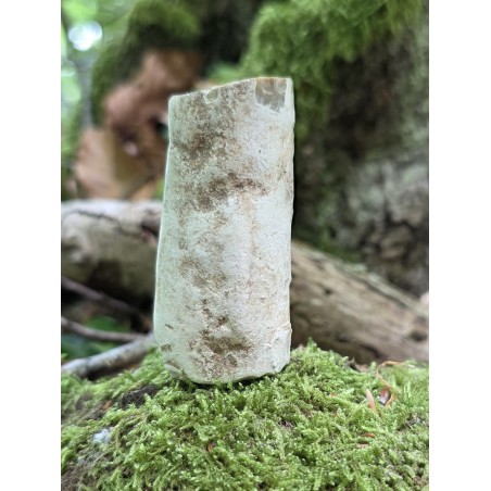 Bois Fossilisé - Brut 65 gr