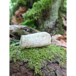 Bois Fossilisé - Brut 65 gr