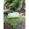Bois Fossilisé - Brut 65 gr