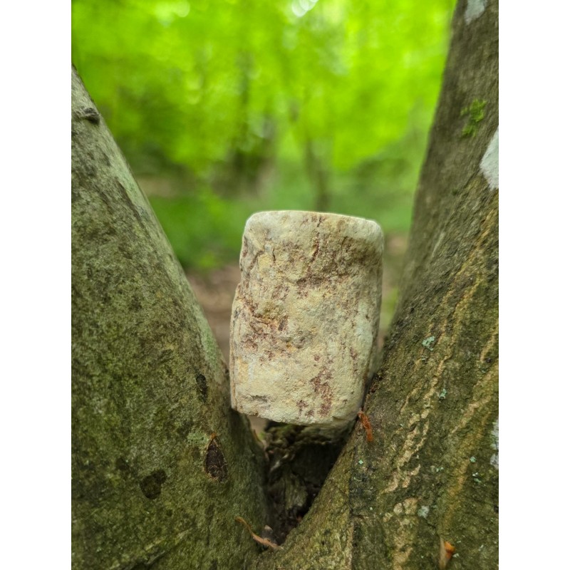 Bois Fossilisé - Brut 68 gr Bois Fossilisé - Brut 68 gr