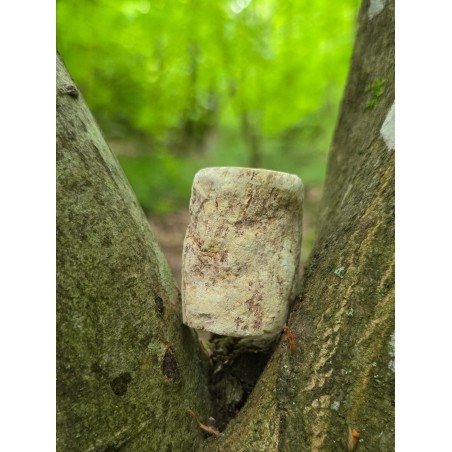 Bois Fossilisé - Brut 68 gr