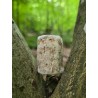 Bois Fossilisé - Brut 68 gr