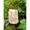 Bois Fossilisé - Brut 68 gr