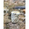 Bois Fossilisé - Brut 68 gr