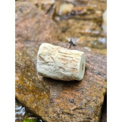 Bois Fossilisé - Brut 68 gr
