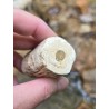 Bois Fossilisé - Brut 68 gr