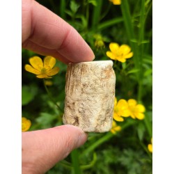 Bois Fossilisé - Brut 68 gr