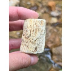 Bois Fossilisé - Brut 68 gr