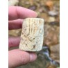Bois Fossilisé - Brut 68 gr