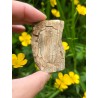 Bois Fossilisé - Brut 96 gr