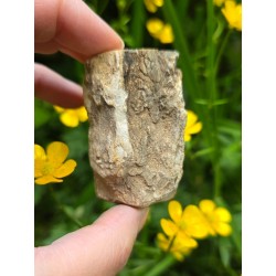 Bois Fossilisé - Brut 96 gr