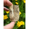 Bois Fossilisé - Brut 96 gr