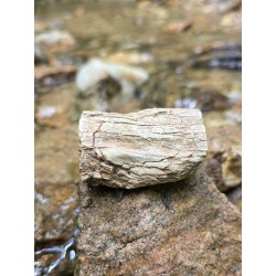 Bois Fossilisé - Brut 96 gr