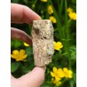 Bois Fossilisé - Brut 96 gr