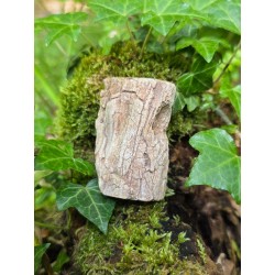 Bois Fossilisé - Brut 96 gr