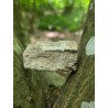 Bois Fossilisé - Brut 96 gr