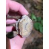 Bois Fossilisé - Brut 96 gr