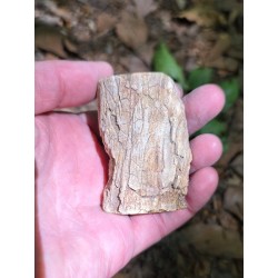Bois Fossilisé - Brut 96 gr