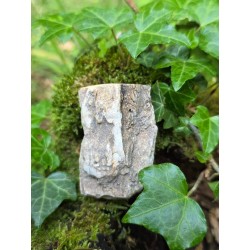 Bois Fossilisé - Brut 96 gr