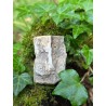 Bois Fossilisé - Brut 96 gr