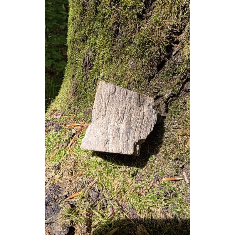 Bois Fossilisé - Brut 102 gr Bois Fossilisé - Brut 102 gr