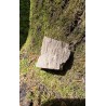 Bois Fossilisé - Brut 102 gr