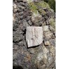 Bois Fossilisé - Brut 102 gr