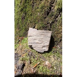 Bois Fossilisé - Brut 102 gr