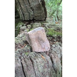 Bois Fossilisé - Brut 102 gr