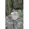 Bois Fossilisé - Brut 102 gr