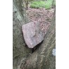 Bois Fossilisé - Brut 102 gr