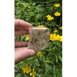 Bois Fossilisé - Brut 102 gr