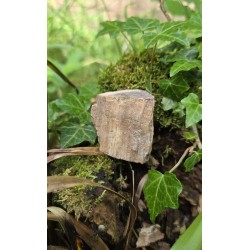 Bois Fossilisé - Brut 102 gr
