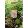 Bois Fossilisé - Brut 102 gr