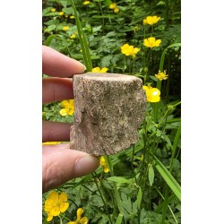 Bois Fossilisé - Brut 102 gr