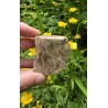 Bois Fossilisé - Brut 102 gr
