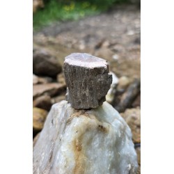 Bois Fossilisé - Brut 102 gr