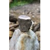 Bois Fossilisé - Brut 102 gr