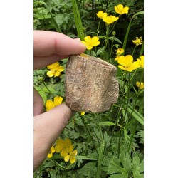 Bois Fossilisé - Brut 102 gr