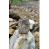 Bois Fossilisé - Brut 102 gr