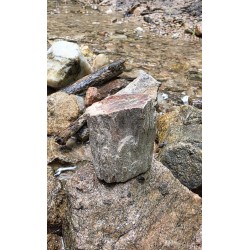 Bois Fossilisé - Brut 102 gr
