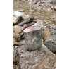Bois Fossilisé - Brut 102 gr