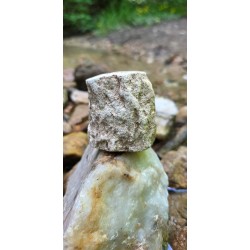 Bois Fossilisé - Brut 224 gr
