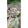 Bois Fossilisé - Brut 224 gr