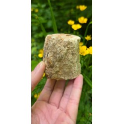 Bois Fossilisé - Brut 224 gr