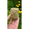 Bois Fossilisé - Brut 224 gr